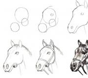 Как нарисовать красиво морду, гриву лошади, бегущую, стоящую лошадь, в прыжке?